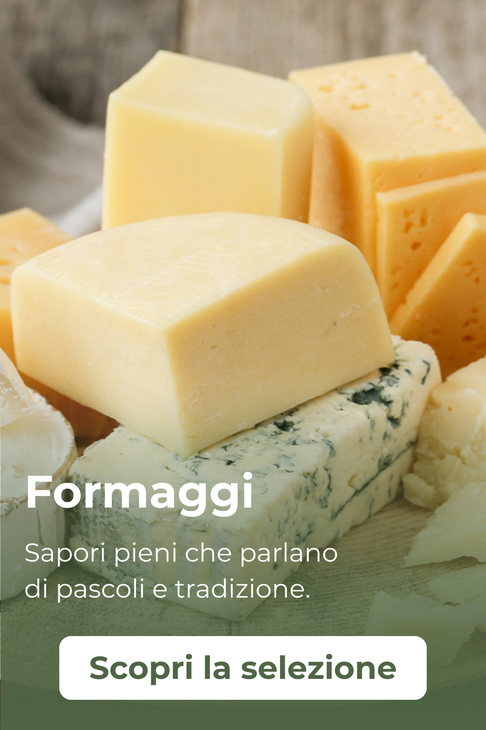 Formaggi