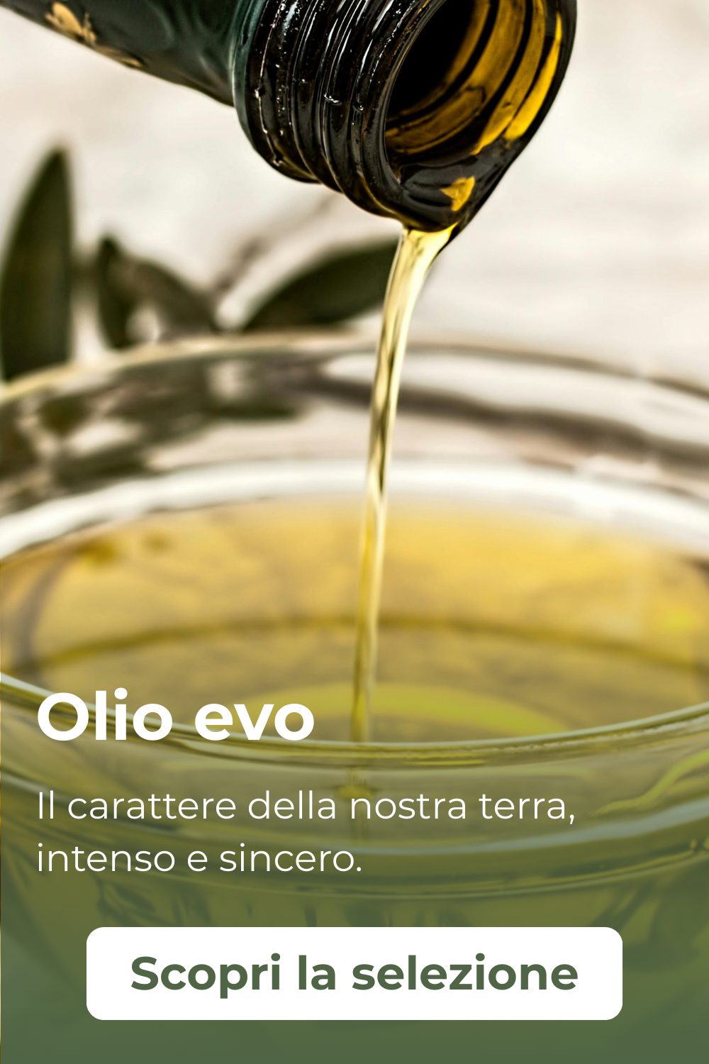 Oli evo