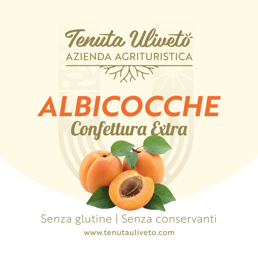 Confettura di albicocca
