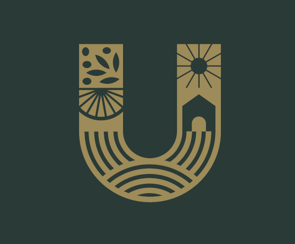 Formaggio di pecora con peperoncino, olive e rucola