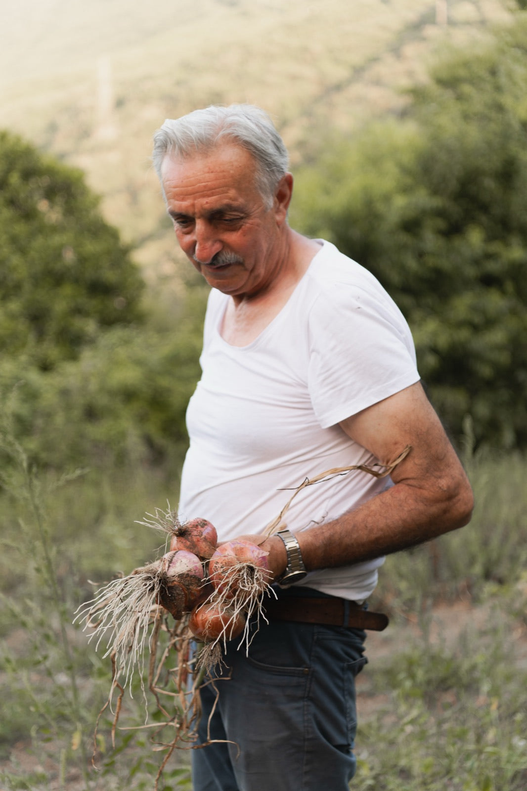 Mario nella tenuta — Tenuta Uliveto